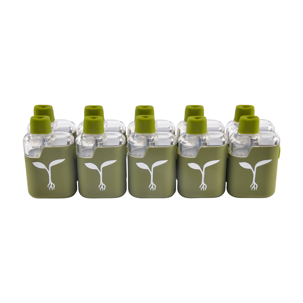 USA raw garden 2g disposable empty vapes wholesale 10 flavors