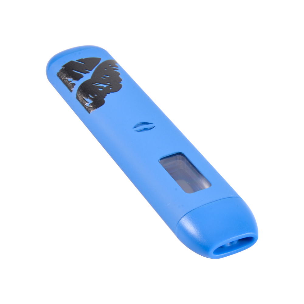 Blue Besos 2g disposables vape pen empty vapes 10 flavors 100pcs moq 