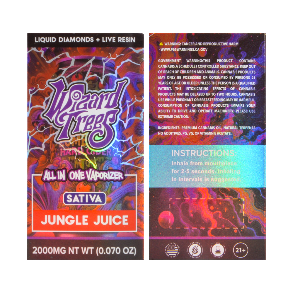 Wizard Trees Disposable 2g vape pen empty vapes wholesale 2ml 10 flavors 