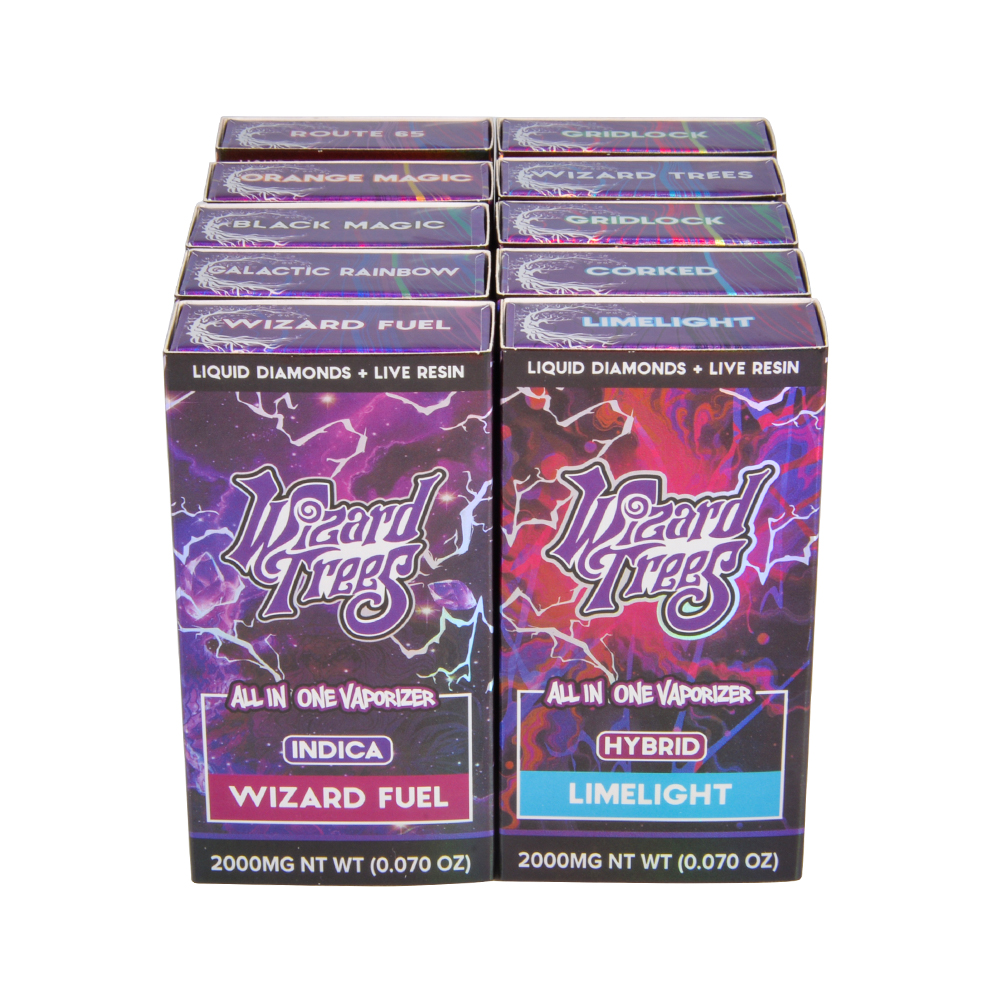 Wizard Trees Disposable 2g vape pen empty vapes wholesale 2ml 10 flavors 