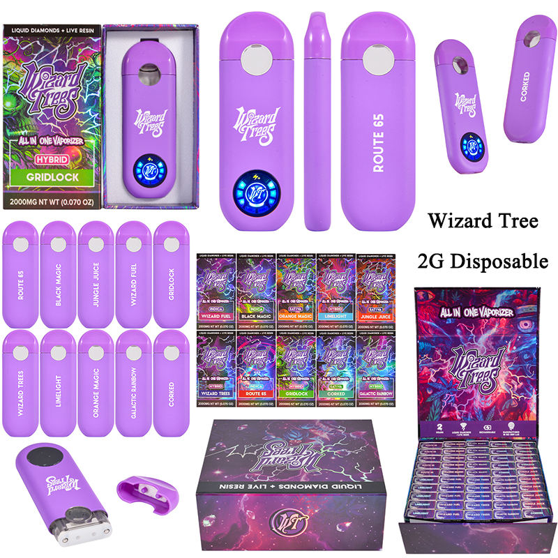 Wizard Trees Disposable 2g vape pen empty vapes wholesale 2ml 10 flavors 