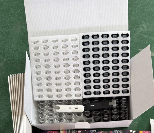 USA Turn Up Turn Down Disposable 1g 10 Flavors review Sebastian rivera