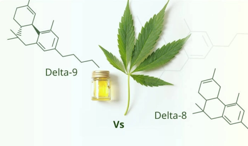 Delta-8 vs Delta-9 THC: Understanding the Key Differences and Benefits