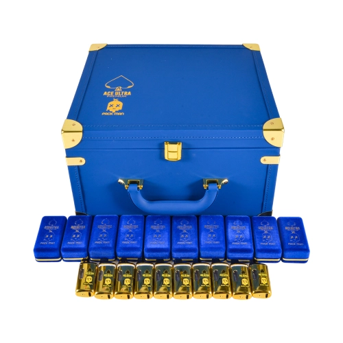 ACE PACKMAN 2G: Thick-Oil Intake & Seal Stack Explained