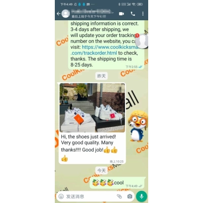 PKGoden Air Jordan 4 Retro Metallic Purple,CT8527-115 02