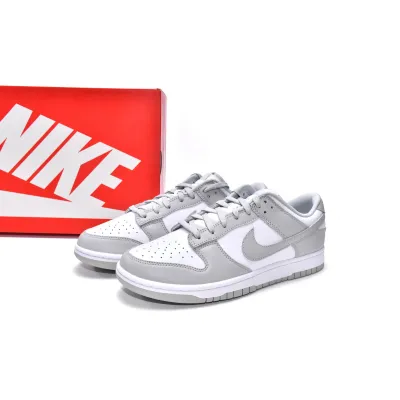 PKGoden Dunk Low Grey, DD1391-103  01