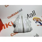 PKGoden Dunk Low Grey, DD1391-103 