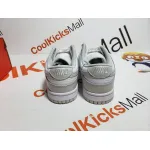 PKGoden Dunk Low Grey, DD1391-103 