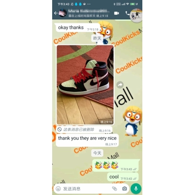 Coolkicks PKGoden Air Jordan 1 Retro High Bloodline,555088-062 02