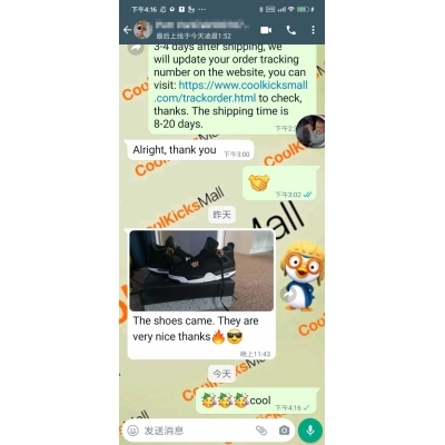 GET Air Jordan 4 Retro Royalty,308497-032 02