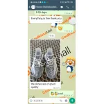 Coolkicks G5 Yeezy Boost 350 V2 Zebra,CP9654