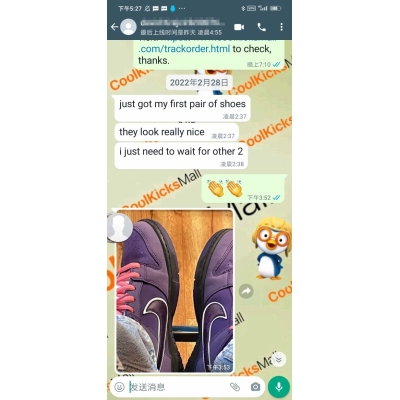 PKGoden SB Dunk Low Concepts Purple Lobster,BV1310-555 02