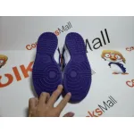 PKGoden Dunk Low Championship Court Purple, DD1391-104