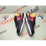 Coolkicks GET Dunk SB Low Raygun 304292-803