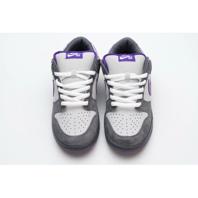 PKGoden Dunk SB Low Purple Pigeon,304292-051 02