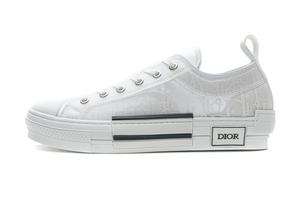 GET Dior B23 Low Top Oblique