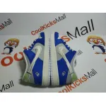 PKGoden SB Dunk Low Pro Fly Streetwear Gardenia ,DQ5130-400  