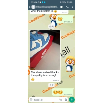 PKGoden Dunk Low Coast (W),DD1503-100 02