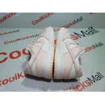 PKGoden Dunk Low Orange Pearl (W),DD1503-102