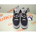 PKGoden Air Jordan 3 Retro Pine Green,CT8532-030