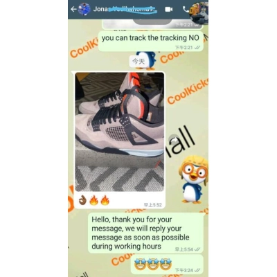 PKGoden Air Jordan 4 Retro Taupe Haze,DB0732-200 02