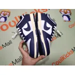 GET Dunk SB Navy Blue And White,DD1503-115