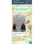 PKGoden Air Jordan 1 Retro High GET Patent Bred,555088-063