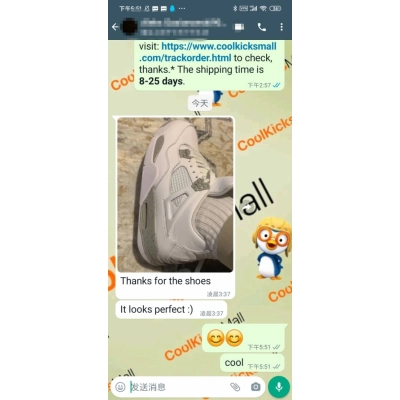 GET Air Jordan 4 Retro White Oreo,CT8527-100 02