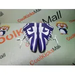 GET Dunk SB Low Purple Pulse, DM9467-500