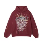 Sp5der Hoodie D3060
