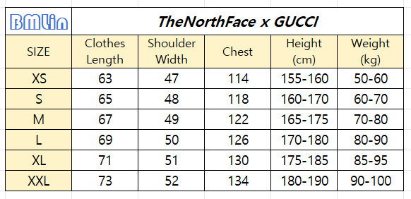 TheNorthFace x Gucci 