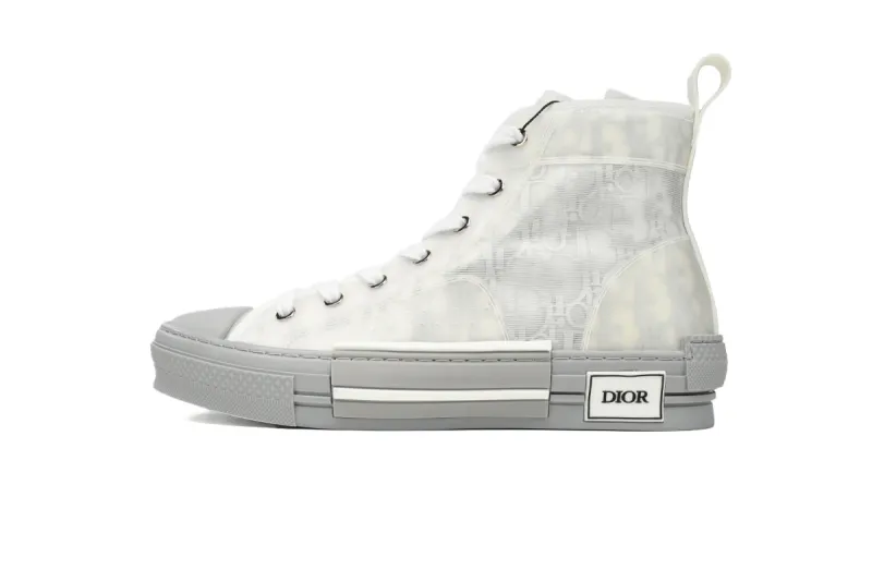 PKGoden  Dior B23 HT Oblique Transparency High Silver Ash