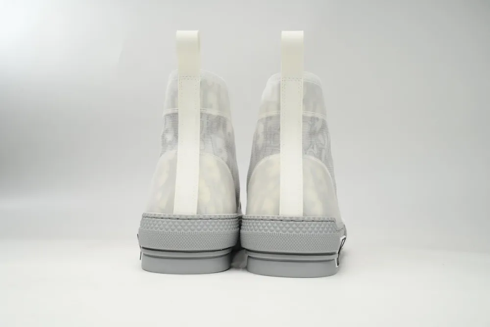 PKGoden  Dior B23 HT Oblique Transparency High Silver Ash