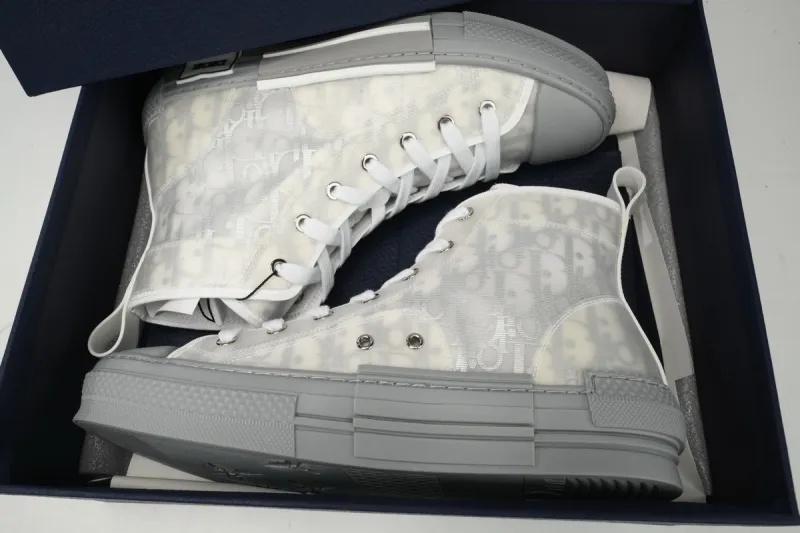 PKGoden  Dior B23 HT Oblique Transparency High Silver Ash
