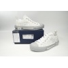 LJR Dior B23 HT Oblique Low Rank Silver Gray