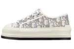 PKGoden  Dior Oblique Printed Fashion Board Shoes Thick embroidered gray