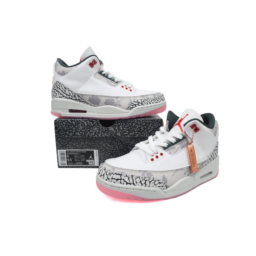 PKGoden Air Jordan 3 Retro 'Wings'2 HM6993-100