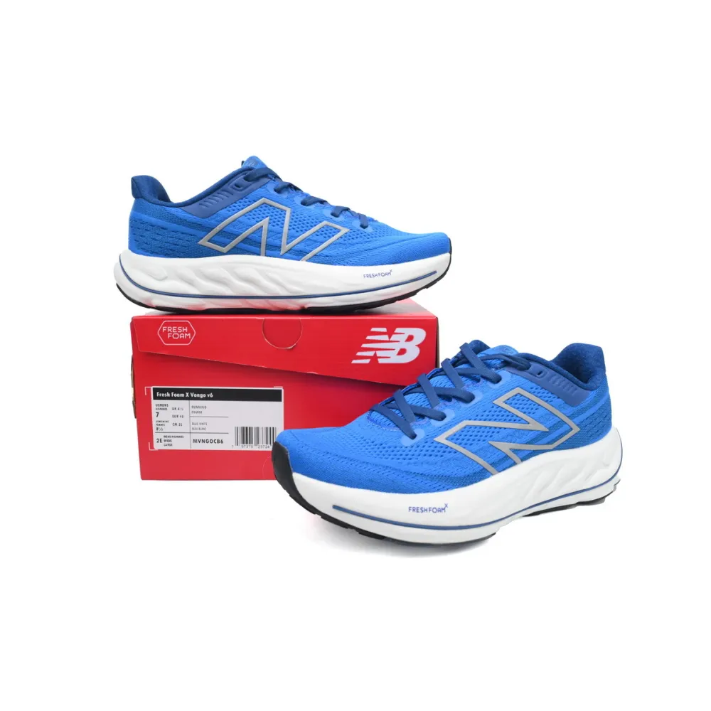 PKGoden Fresh Foam X Vongo v6 White Blue MVNGOCB6