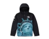 Supreme The North Face Statue of Liberty Mountain Jacket