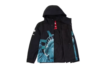 Supreme The North Face Statue of Liberty Mountain Jacket 02