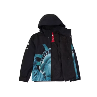 Supreme The North Face Statue of Liberty Mountain Jacket 02