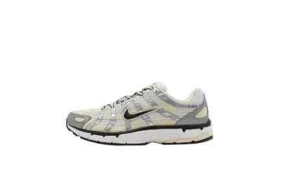 PKGoden P-6000 Coconut Milk Metallic Silver FV6603-100 01
