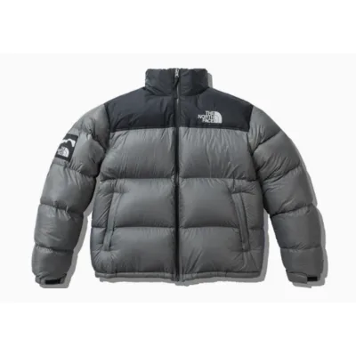 THE NORTH FACE x INVINCIBLE 1996 Retro Nuptse NF0A5B1R-0UZ 01
