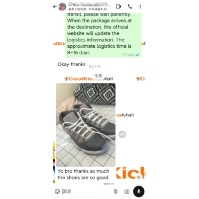 PKGoden Air Jordan 11 Retro Cool Grey ,CT8012-005 02