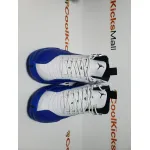 PKGoden Jordan 12 Retro Blueberry CT8013-140