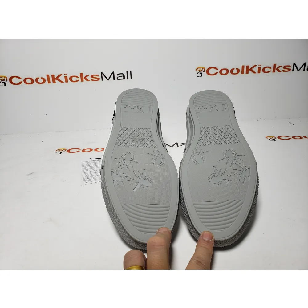PKGoden Dior B23 HT Oblique Low Rank Silver Gray