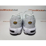 G5 Air Max Plus White,604133-139