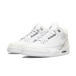 PKGoden Air Jordan 3 Retro Pure Money(White Cat)  CT8532-111