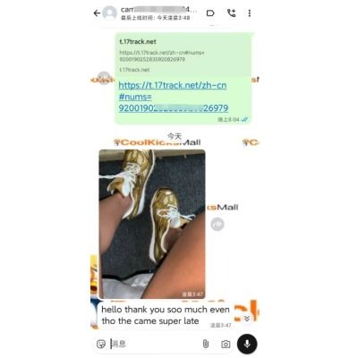 PKGoden Bottega Veneta Orbit Golden 02