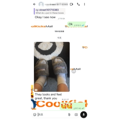 Balenciaga Furry Slide Grey 02